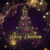 Happy Christmas short videos