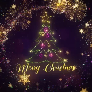 Happy Christmas short videos_2024_401