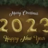 Funny 2023 New Year wishes