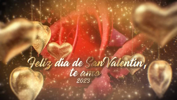 Feliz dia de san valentin amor