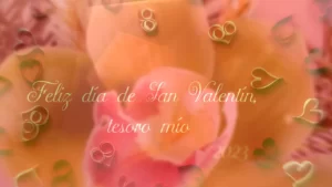 imagenes de san valentín de amor