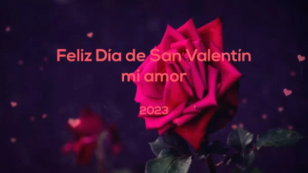 tarjetas animadas para san valentin