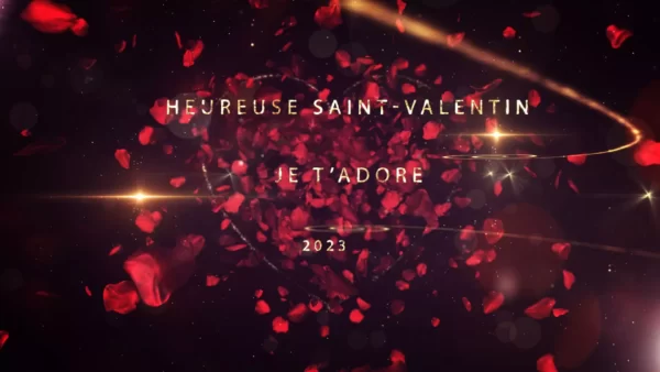 joyeuse saint valentin mon amour